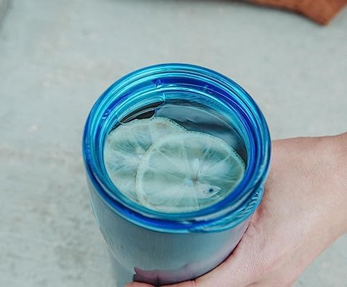 Silver Buffalo Lilo and Stitch Stainless Steel Travel Mug 20 oz