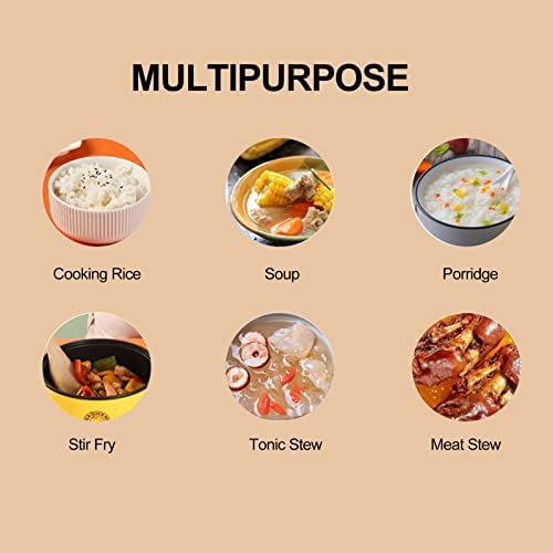 TOPINCN Multi-functional Compact Rice cooker