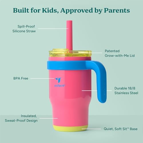 Reduces BBy 14 Oz Insulated Tumbler with Lid and Straw