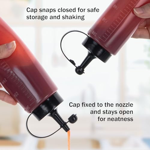 Premium Condiment Squeeze Bottles Set