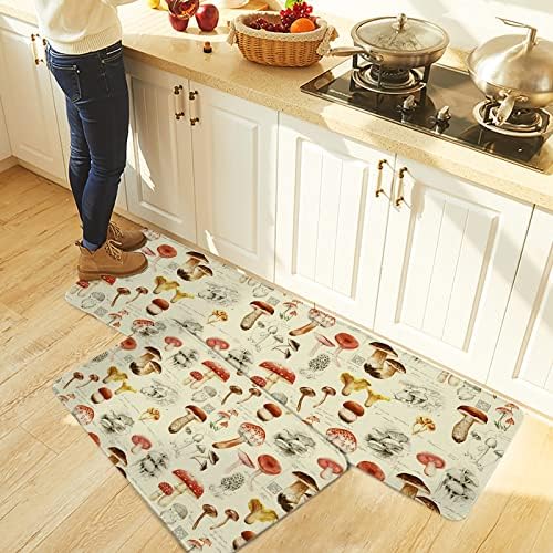 Cozy Durable Kitchen Rugs for Pets Home
