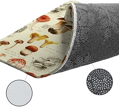Cozy Durable Kitchen Rugs for Pets Home