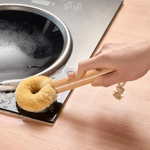 Premium Coconut Dishwashing Brush Set